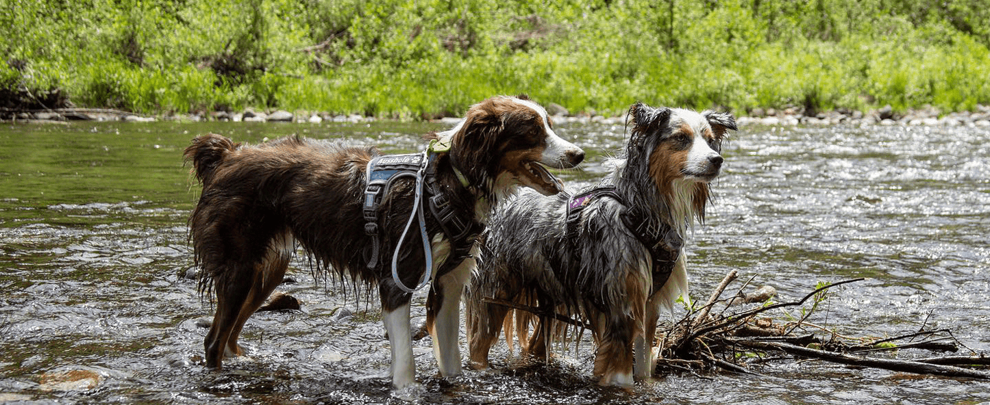 Tactical Harness For Large Dogs No Pull Adjustable Pet Harness Reflective Working Training Easy Control Pet Vest Military Service Dog Harnesses