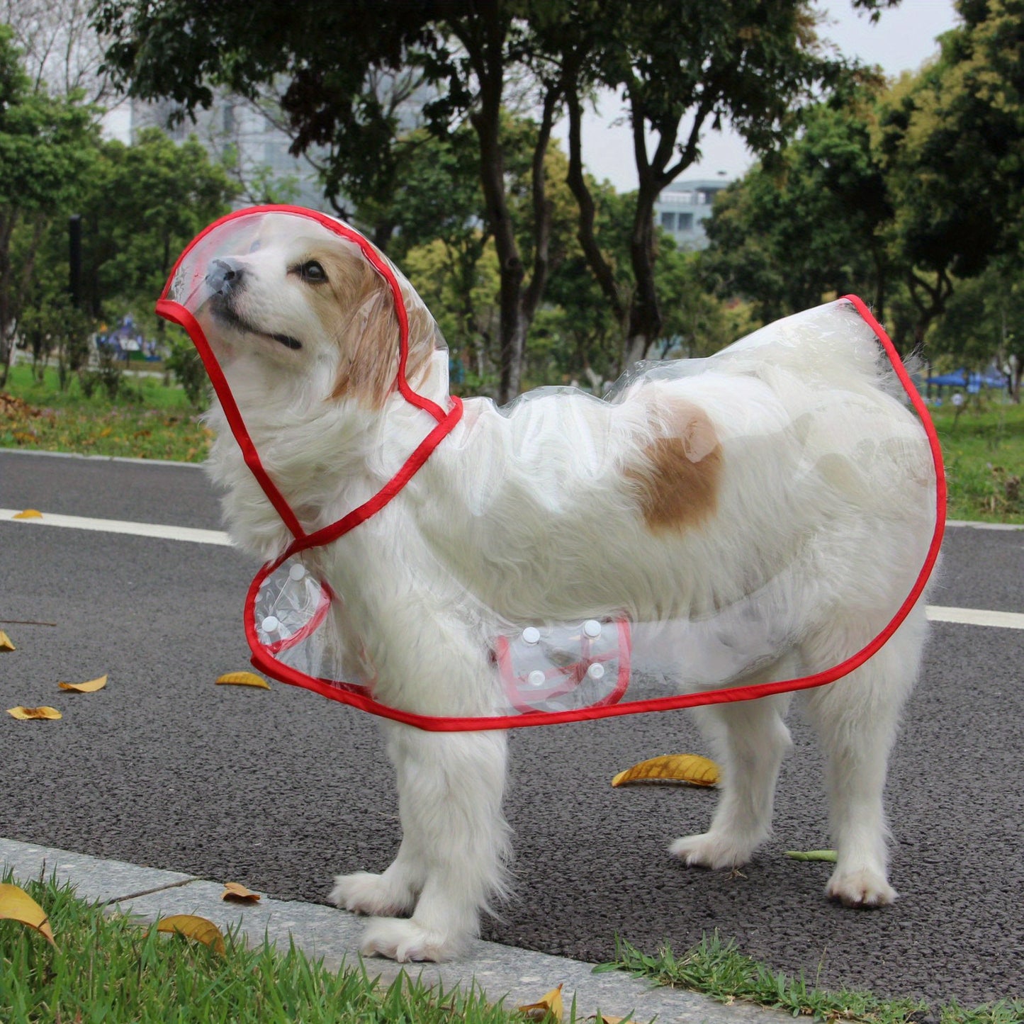 1pc Clear Transparent Hooded Pet Plastic Raincoat Poncho For Toy And Small Dogs And Cat Only Clothes