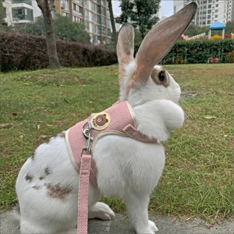 Breathable Mesh Comfort-Fit Harness with Leash - Adjustable Small Pet Vest for Rabbits, Cats & Dogs - Handwash Only, Ideal for Outdoor Walks, Rabbit Accessories