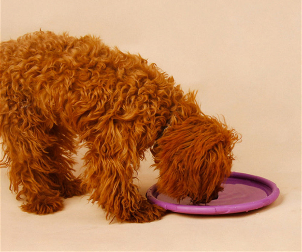 5.91/7.09/8.66inch Rubber Dog Flying Disc Pet Puppy Outdoor Sports Game Training Interactive Toy Bite Resistant Dogs Chew Flying Disc