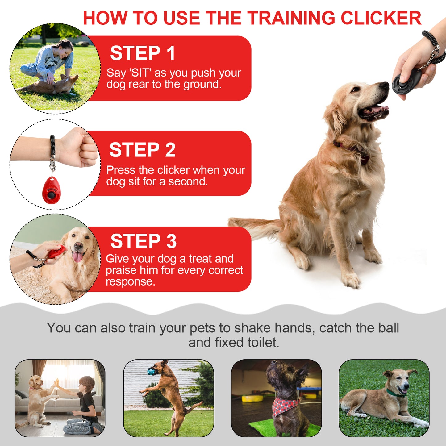 16Pcs Clicker Dog Pet Training With Wrist Strap, Behavioral Training for Cats, Puppy, Birds