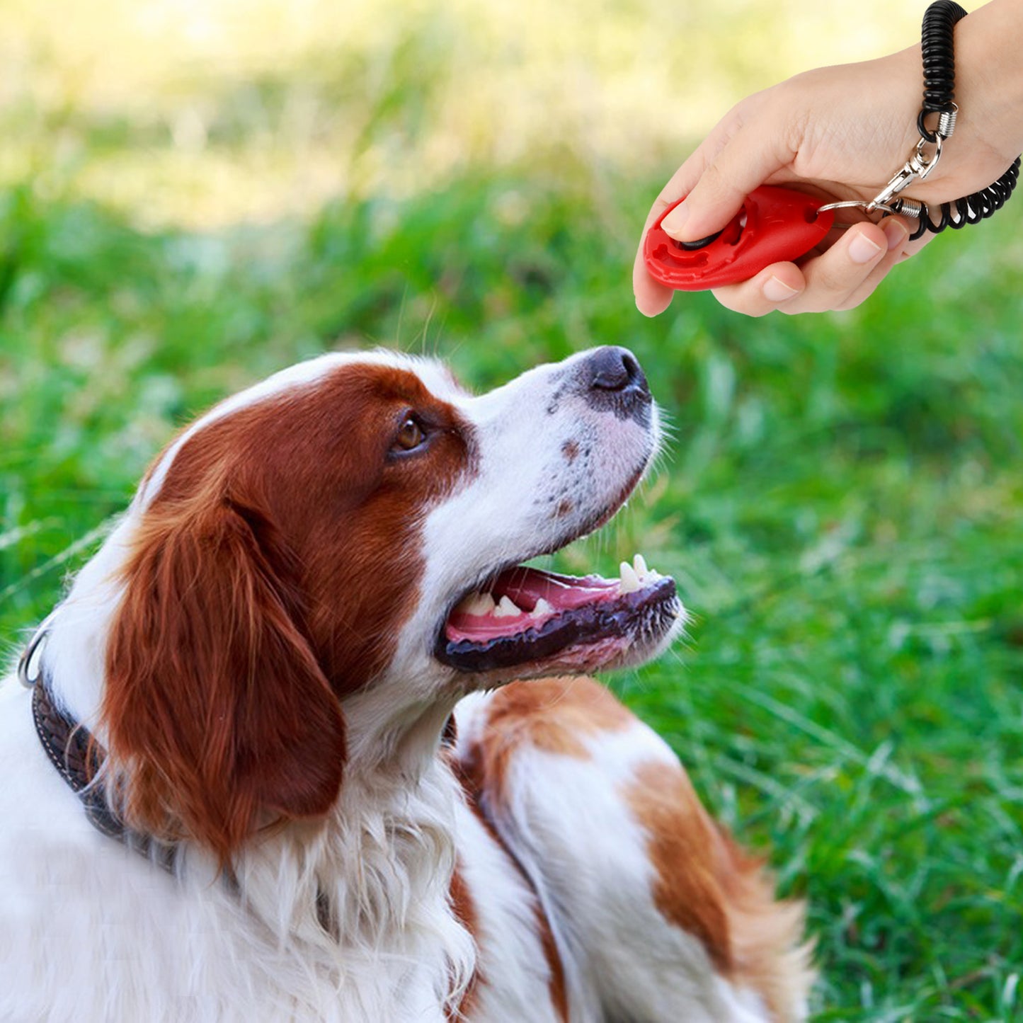16Pcs Clicker Dog Pet Training With Wrist Strap, Behavioral Training for Cats, Puppy, Birds
