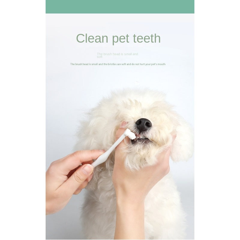 Beef/Vanilla Flavor Pet Tooth Care Set, Dog Toothpaste Dog Teeth Cleaning Brush With 2 Soft Finger Toothbrushes, Pet Oral Dental Care Supplies