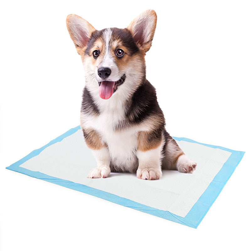 50/100pcs Dog Disposable Urine Pads, Dog Diapers High Absorbent Pet Cage Pads Puppy Potty Training Pads