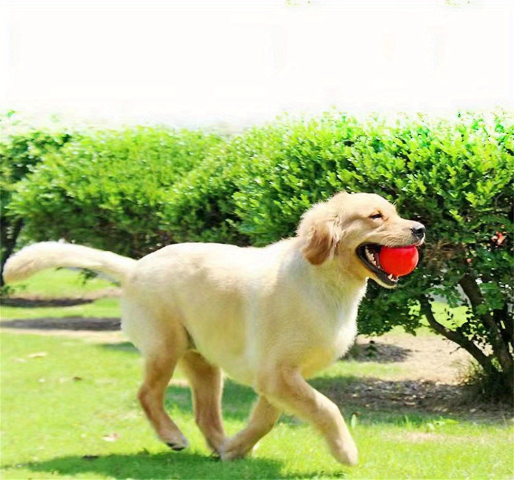 Durable Dog Chew Toy - 1pc Rubber Ball for Pet Teeth Grinding & Interactive Play