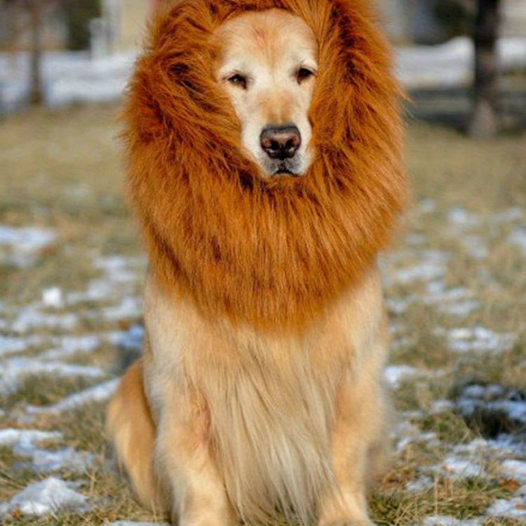 1pc Lion Mane Dog Costume - Adjustable Polyester Fiber Pet Wig for Medium & Large Dogs - Festive Christmas & Halloween Gift Accessory - For Dog Owners - Perfect for Parties & Photoshoots