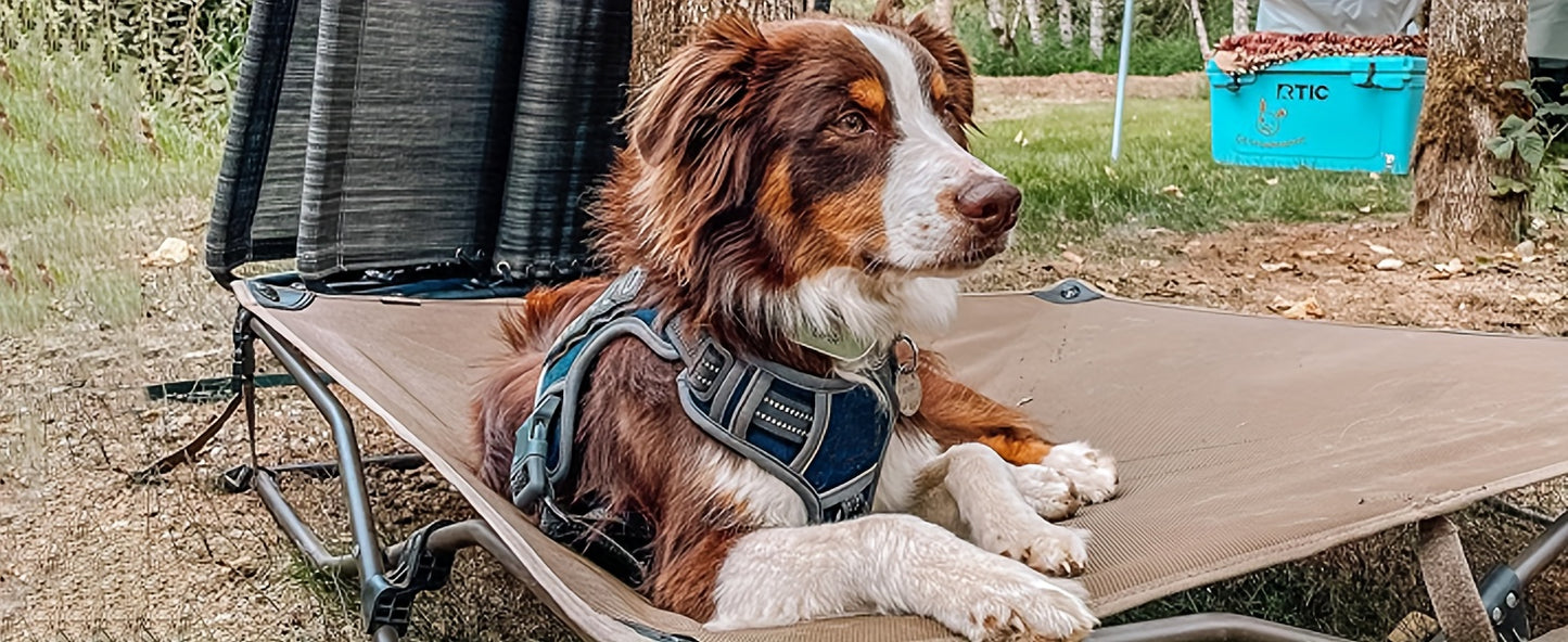 Tactical Harness For Large Dogs No Pull Adjustable Pet Harness Reflective Working Training Easy Control Pet Vest Military Service Dog Harnesses
