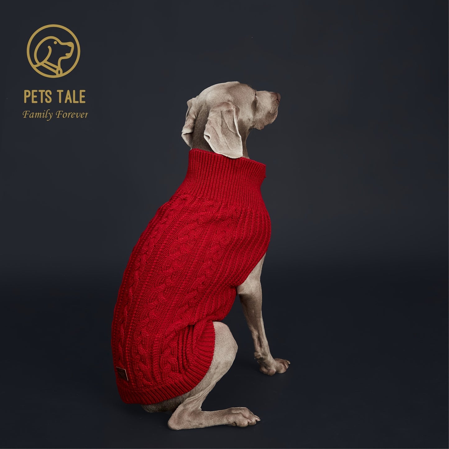 1pc Cozy Pet Knit Sweater - Warm Dog Clothes for Autumn and Winter - Soft, Plain Color, Knitted Design, Pet Friendly, Seasonal Apparel
