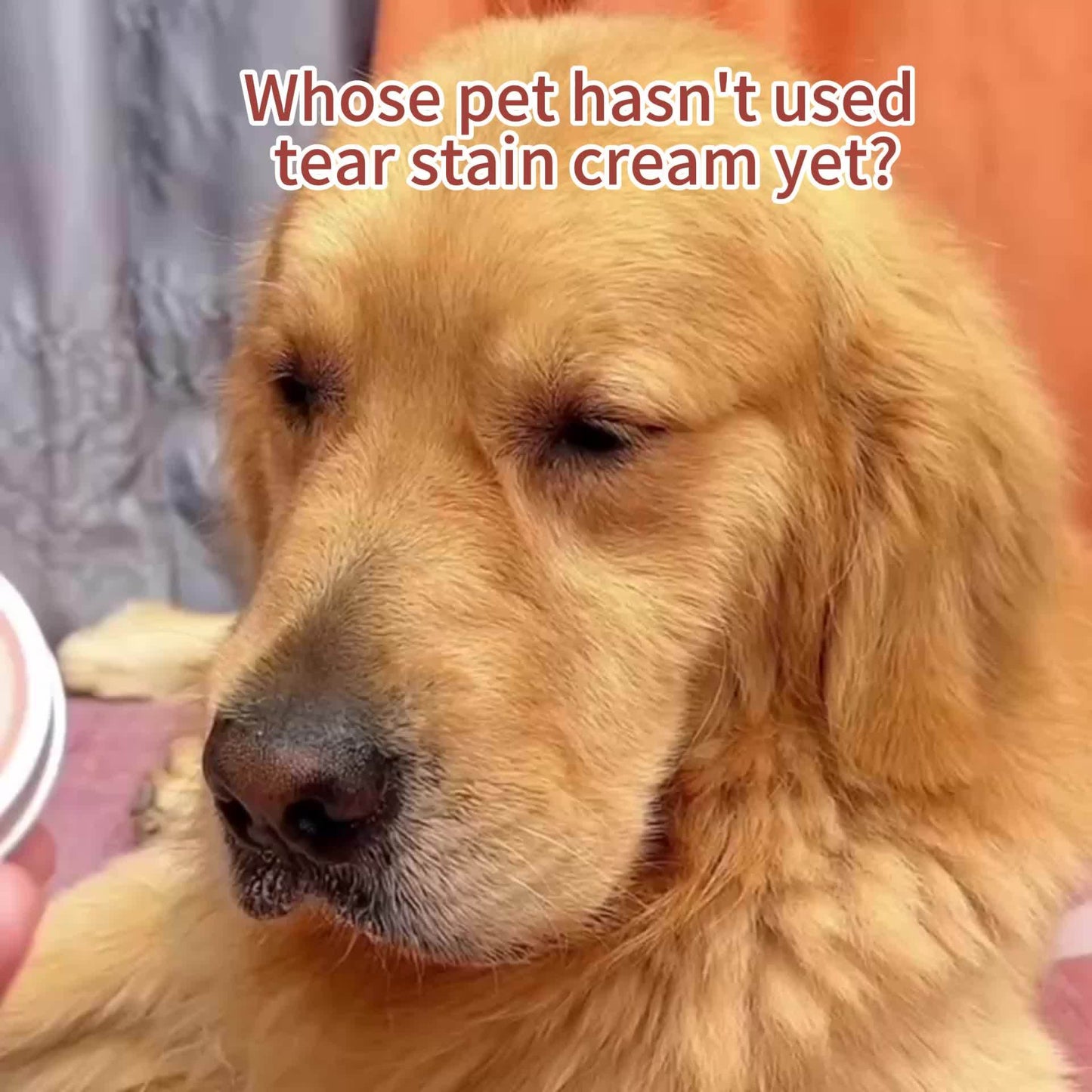 Pet Tear Stain Remover Gel 30g + Brush | Gentle Plant-Based Formula | Effective & Irritation-Free Eye Cleaning For Dogs & Cats