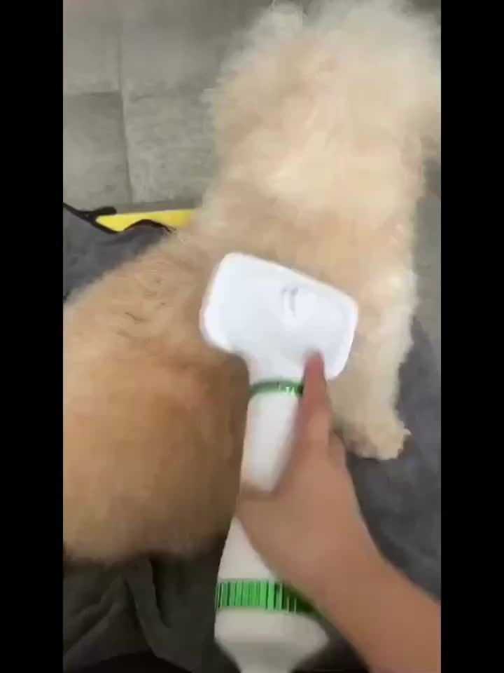 2-in-1 Pet Hair Dryer and Grooming Brush with 3-Speed Temperature Control, Quiet Operation for Dogs After Bathing, White with Green Accents, Plastic Material, Ideal for Wet or Dry Pet Care, Dog Grooming