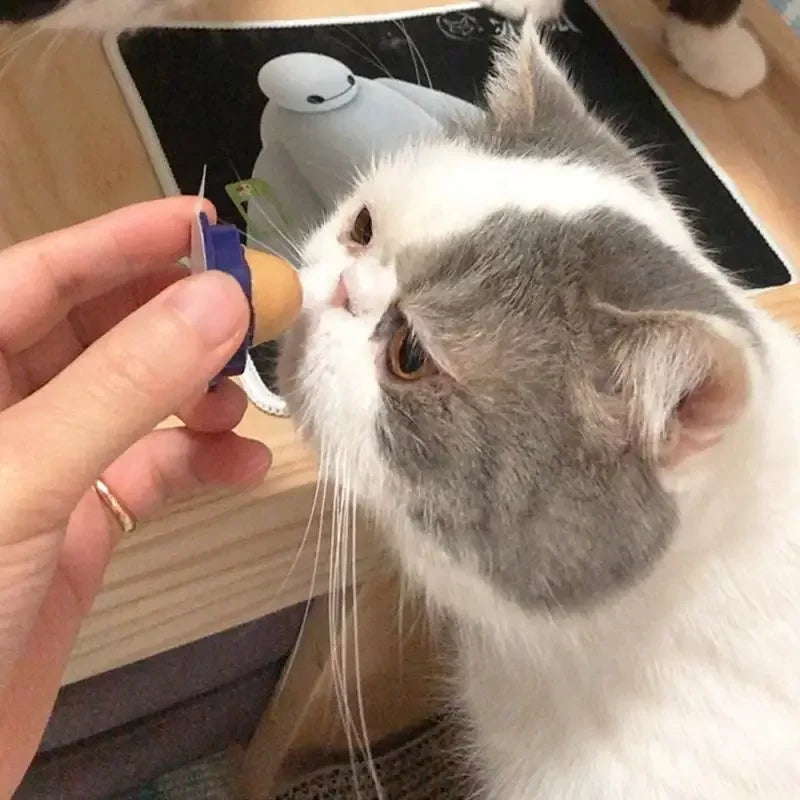 1Pcs Catnip Sugar Cats Snacks Licking Candy Nutrition Energy Ball Toys for Cat Kitten Playing Pet Cat Products