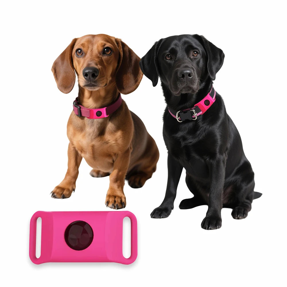 Dog Collar Anti - Flea & Tick Essential Oil Pendant Dog Cats Safe Adjustable Collar Pet Tags with Essential Oils to Repel Pests