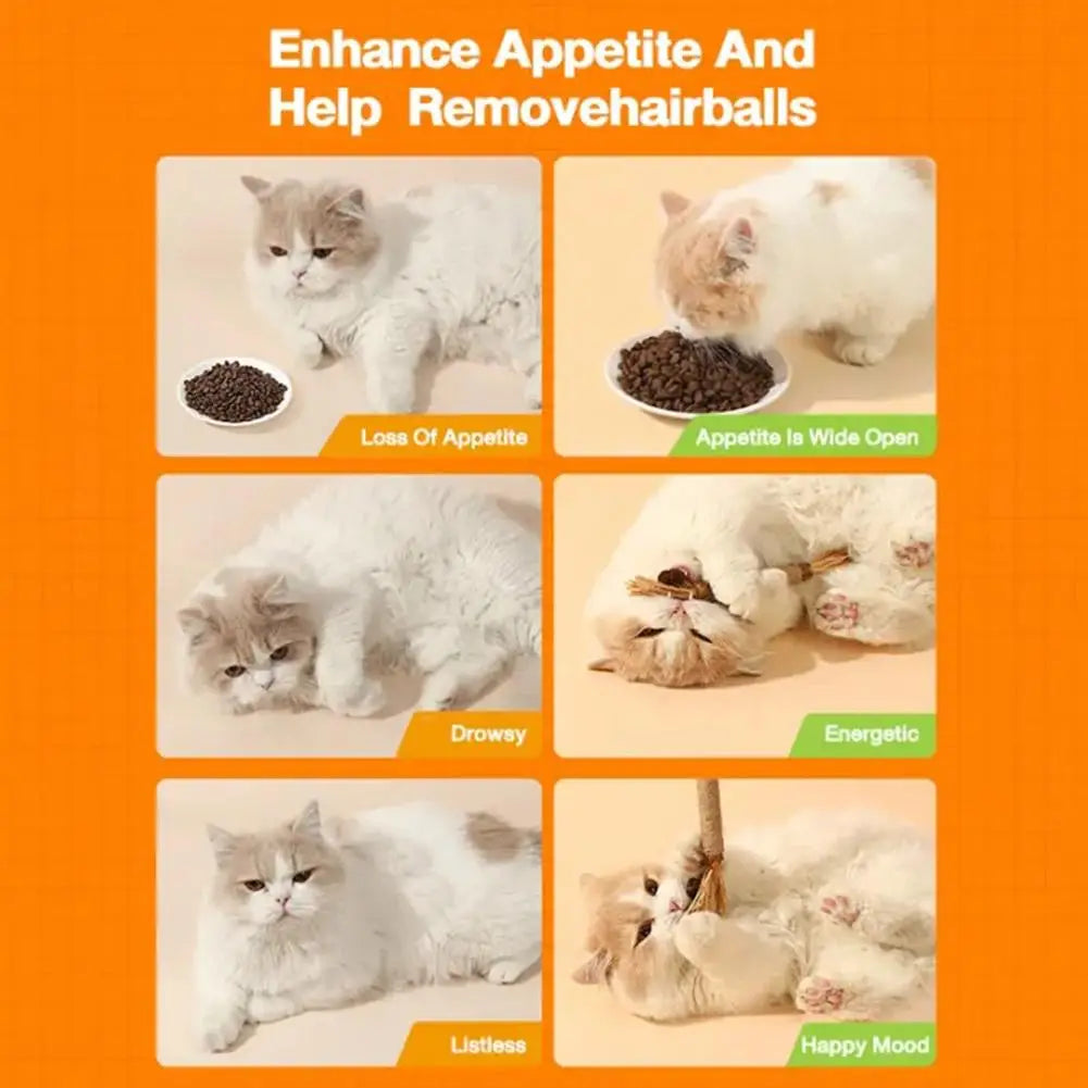 1/2/5/10PCS Pet Toy Natural Pet Cat Snacks Stick Cleaning Tooth Catnip Cat Toys Actinidia Silvervine For Training Cats Accessory