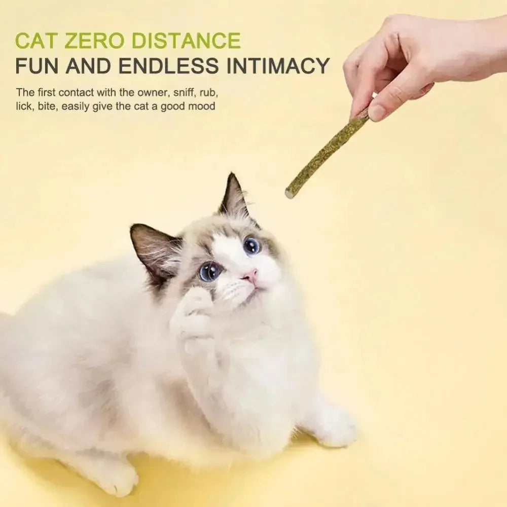 1-3pcs Natural Catnip Pet Cat Molar Toothpaste Stick Cat Snacks Sticks Pet Cleaning Teeth Cat Toys Silver Vine Pet Toy
