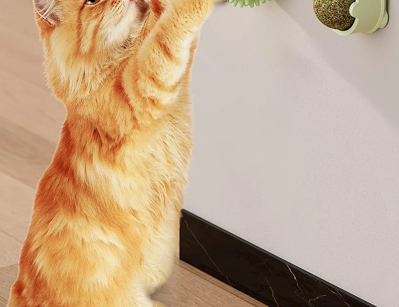 Catnip Balls Funny Lickable Cat Snack Catnip Balls Kitten Playing Chewing Cleaning Teeth Toy for Small Medium Cats Pet Supplies