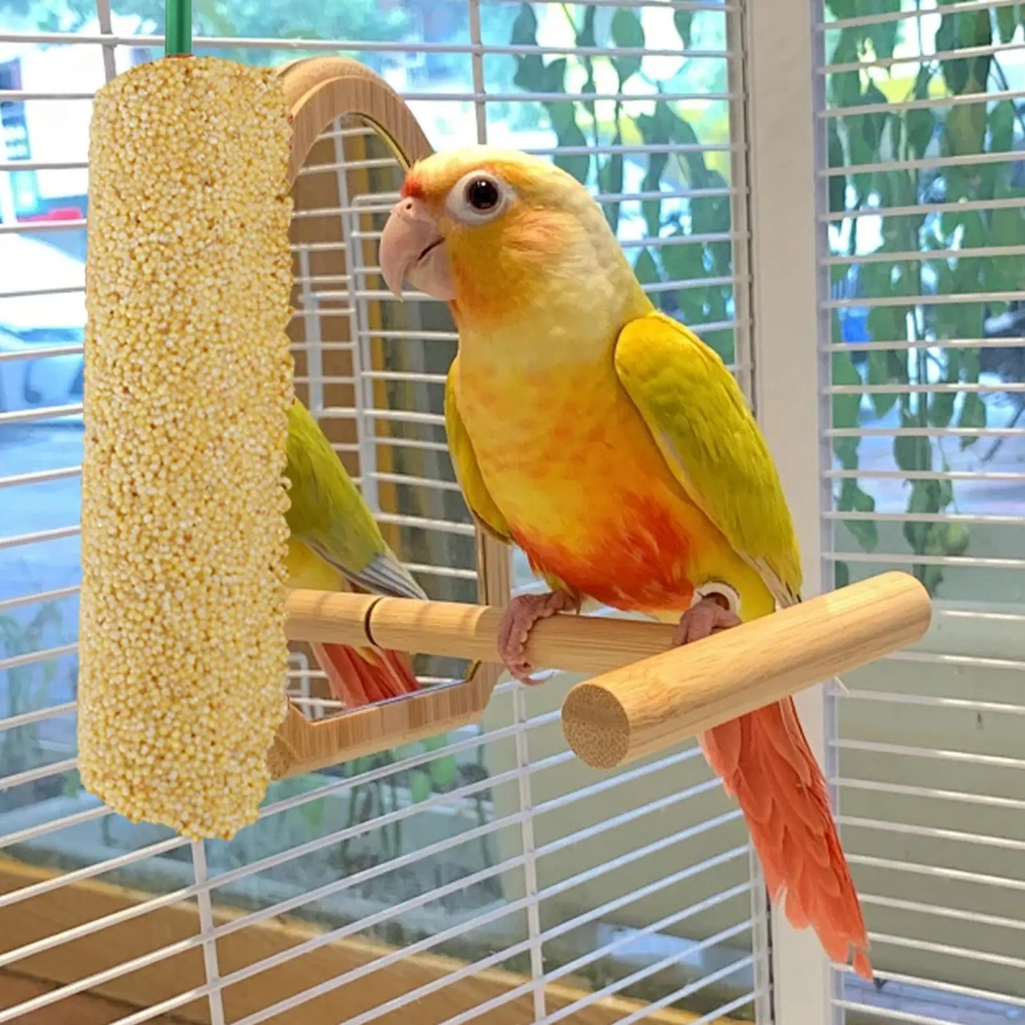 2PCS Parakeet Treats Sticks Bird Snacks Training Food Rewards Chewing Foraging Snacks for Myna Parakeet Finch Conure Parrot