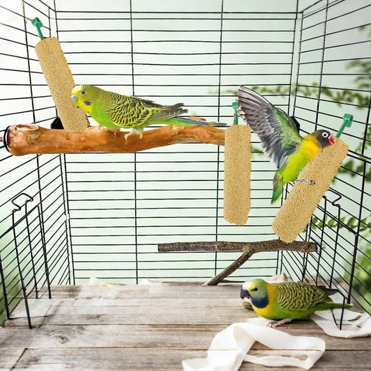 2PCS Parakeet Treats Sticks Bird Snacks Training Food Rewards Chewing Foraging Snacks for Myna Parakeet Finch Conure Parrot