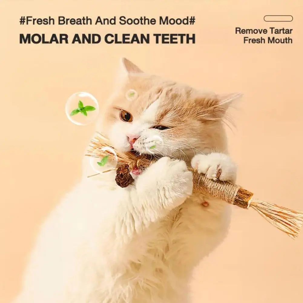 1/2/5/10PCS Pet Toy Natural Pet Cat Snacks Stick Cleaning Tooth Catnip Cat Toys Actinidia Silvervine For Training Cats Accessory