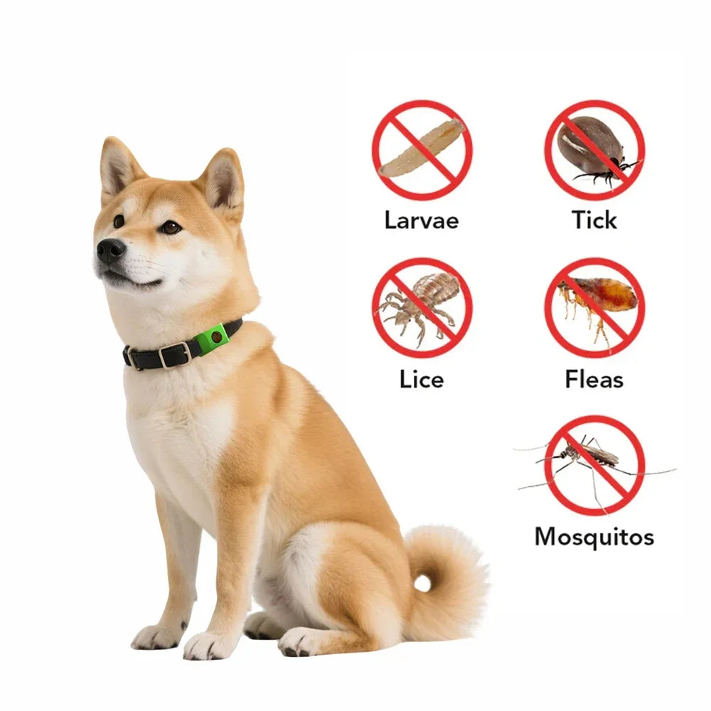 Dog Collar Anti - Flea & Tick Essential Oil Pendant Dog Cats Safe Adjustable Collar Pet Tags with Essential Oils to Repel Pests