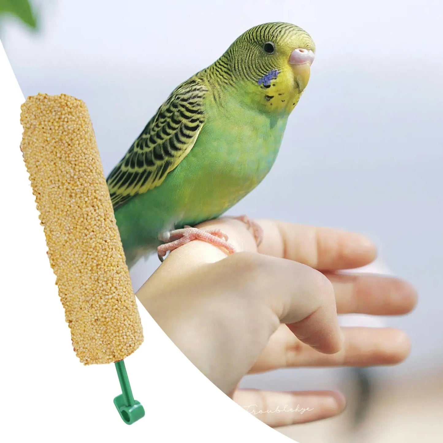 2PCS Parakeet Treats Sticks Bird Snacks Training Food Rewards Chewing Foraging Snacks for Myna Parakeet Finch Conure Parrot
