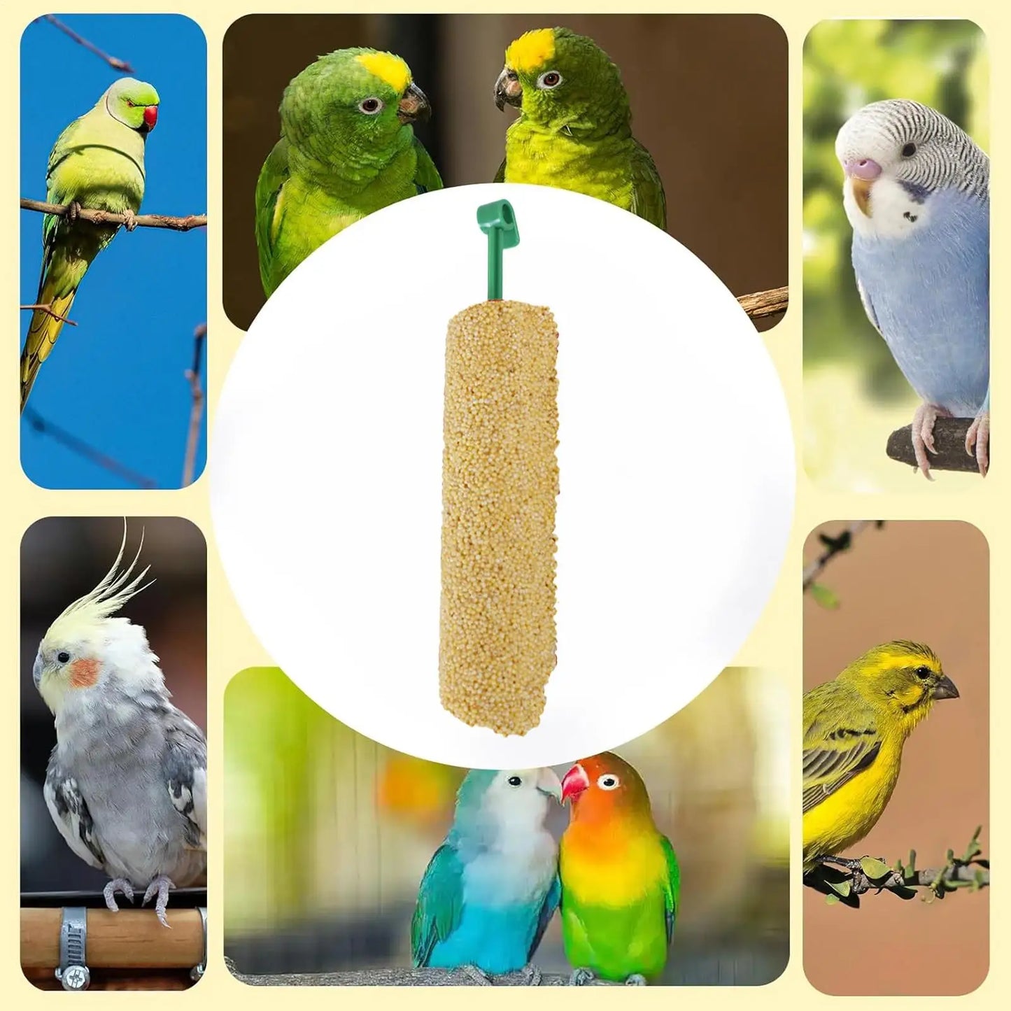2PCS Parakeet Treats Sticks Bird Snacks Training Food Rewards Chewing Foraging Snacks for Myna Parakeet Finch Conure Parrot