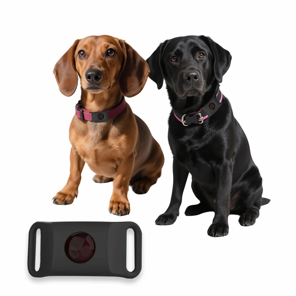 Dog Collar Anti - Flea & Tick Essential Oil Pendant Dog Cats Safe Adjustable Collar Pet Tags with Essential Oils to Repel Pests