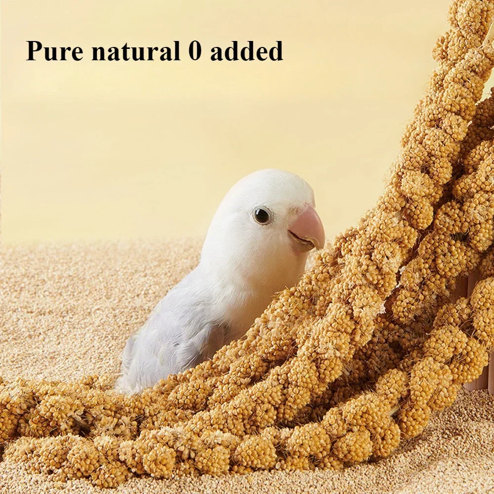 Parakeet snack grain with shell yellow millet Xuanphoenix tiger skin feed bird food bird food Wenbird pearl bird snack