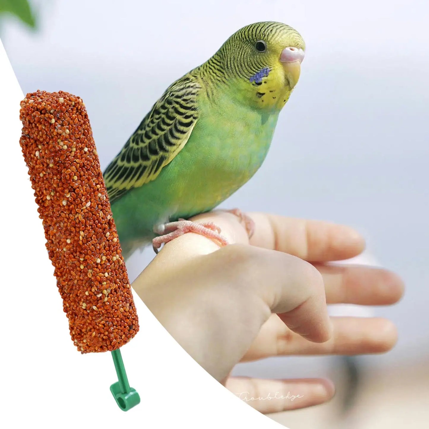 2PCS Parakeet Treats Sticks Bird Snacks Training Food Rewards Chewing Foraging Snacks for Myna Parakeet Finch Conure Parrot