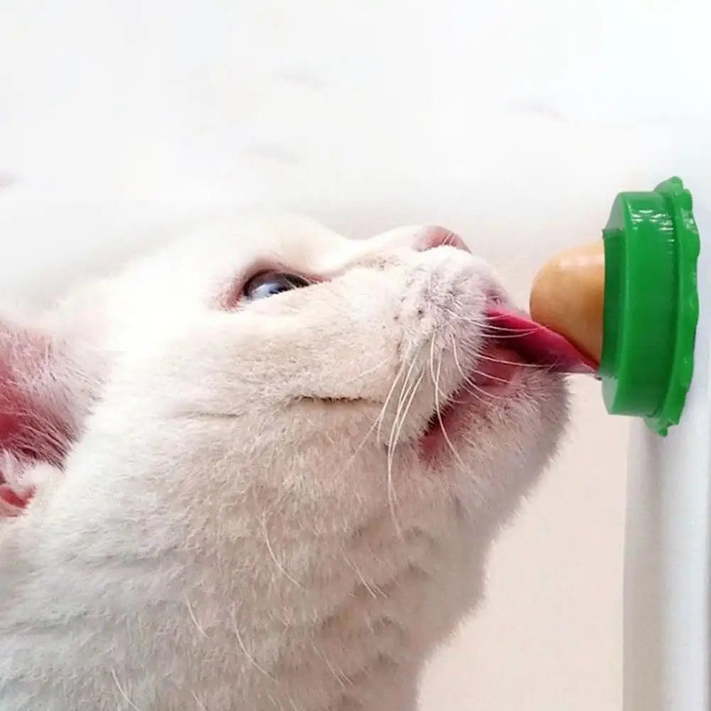 Cat Power Pill Energy Ball Catnip Healthy Nutrition Pasted Catnip Sugar Snacks Goods For Pet Products