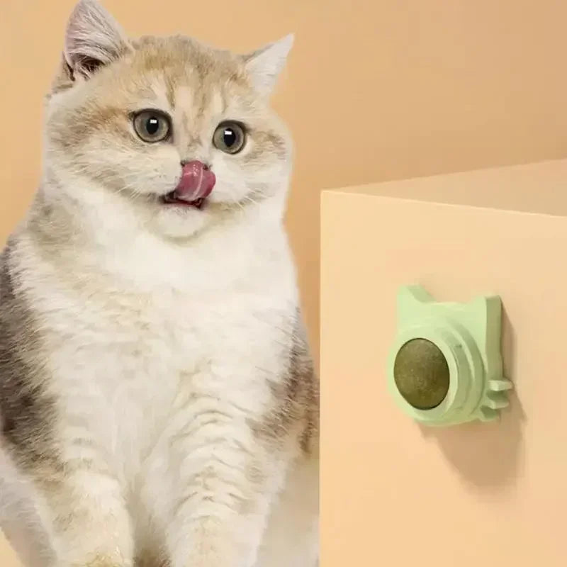 Catnip Balls Funny Lickable Cat Snack Catnip Balls Kitten Playing Chewing Cleaning Teeth Toy For pet supplies Small Medium Cats