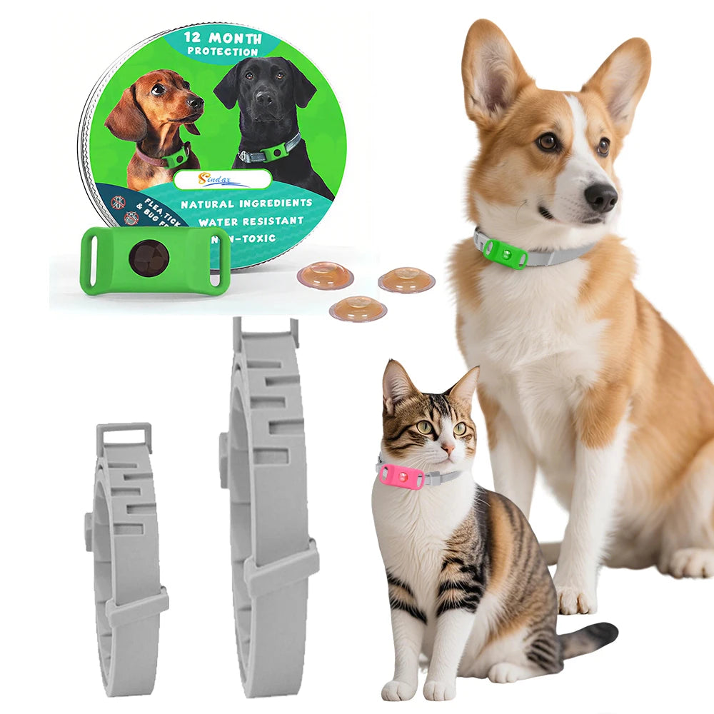 Dog Collar Anti - Flea & Tick Essential Oil Pendant Dog Cats Safe Adjustable Collar Pet Tags with Essential Oils to Repel Pests
