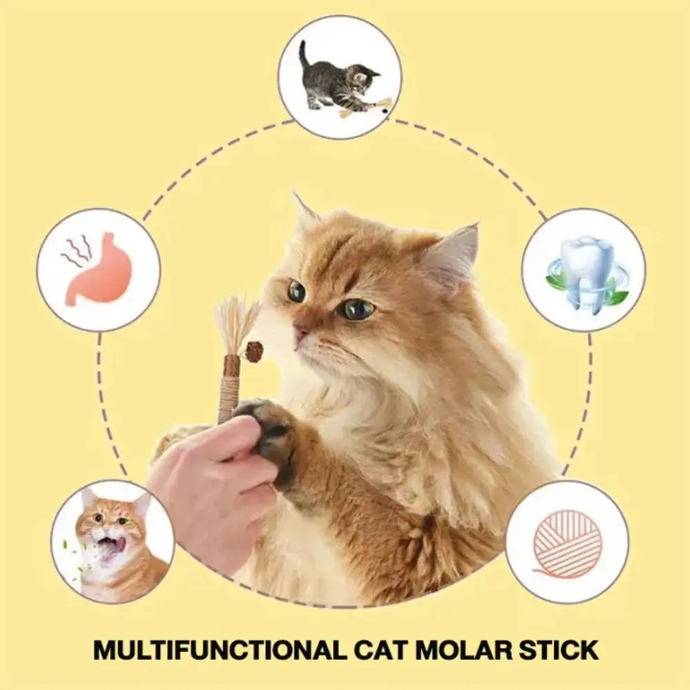 1/2/5/10PCS Pet Toy Natural Pet Cat Snacks Stick Cleaning Tooth Catnip Cat Toys Actinidia Silvervine For Training Cats Accessory