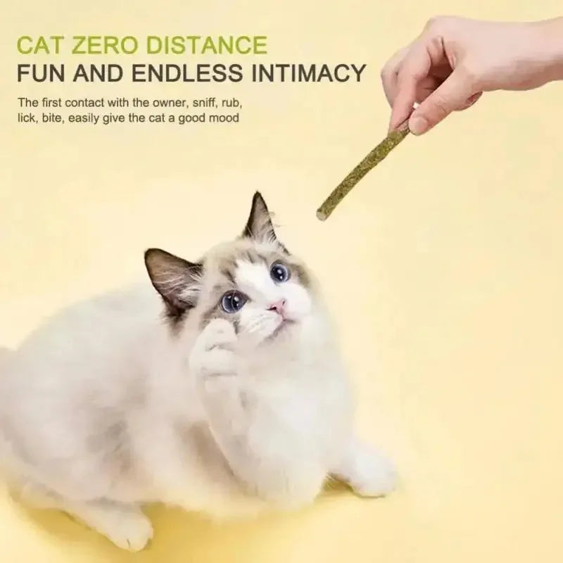 1-3pcs Natural Catnip Pet Cat Molar Toothpaste Stick Cat Snacks Sticks Pet Cleaning Teeth Cat Toys Silver Vine Pet Toy