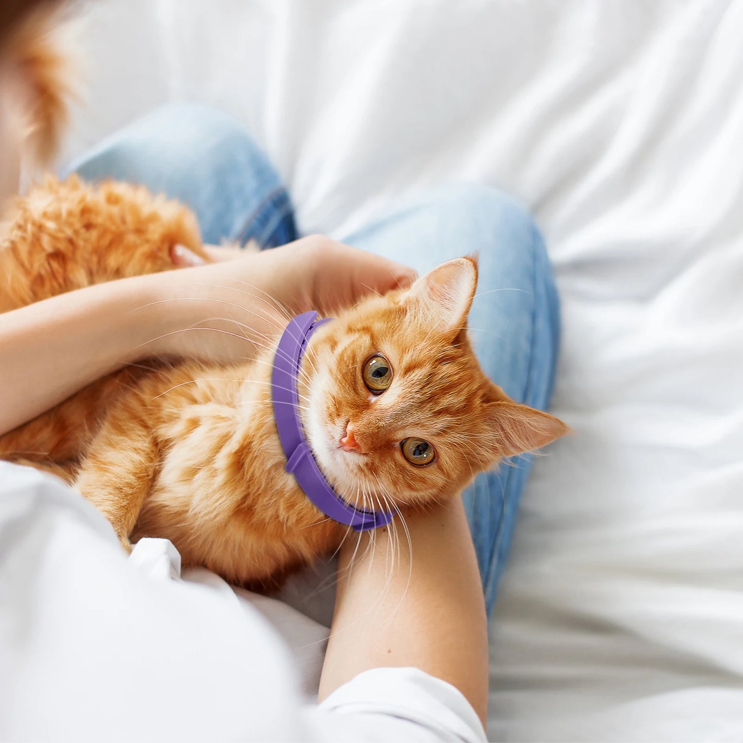 4/8PCS Dogs Calming Pheromone Collars Cats Relieve Anxiety Adjustable Comfortable Collar For Puppy Kitten Large Pets Accessories