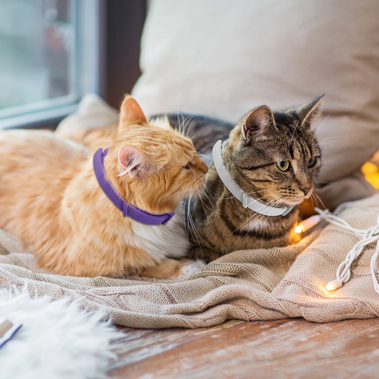 4/8PCS Dogs Calming Pheromone Collars Cats Relieve Anxiety Adjustable Comfortable Collar For Puppy Kitten Large Pets Accessories