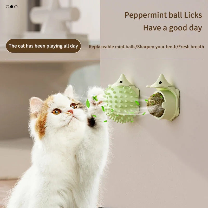 Catnip Balls Funny Lickable Cat Snack Catnip Balls Kitten Playing Chewing Cleaning Teeth Toy for Small Medium Cats Pet Supplies