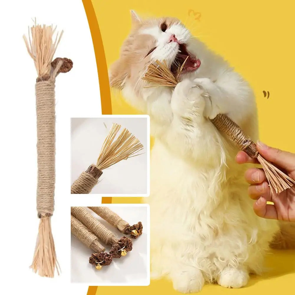 1/2/5/10PCS Pet Toy Natural Pet Cat Snacks Stick Cleaning Tooth Catnip Cat Toys Actinidia Silvervine For Training Cats Accessory