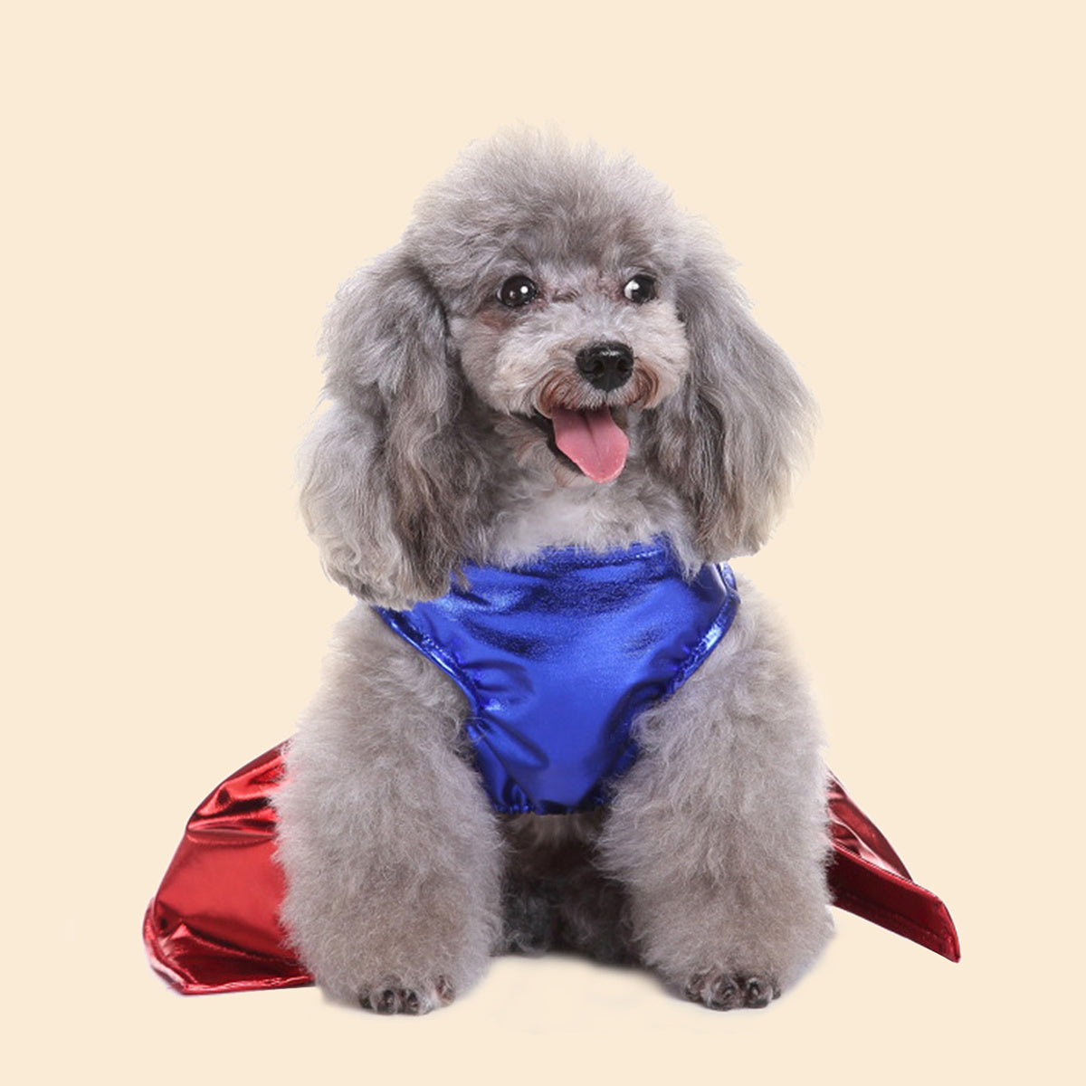 Superhero Dog Costume with Cape & Paw Print Logo - Vibrant Blue & Red Super Power Outfit for Small Breeds, Easy Slip-On Costume, Onesies For Small Dogs, Dog Clothes Costume, Suits For Small Dog, Doggy Outfits, Clothes For Pet