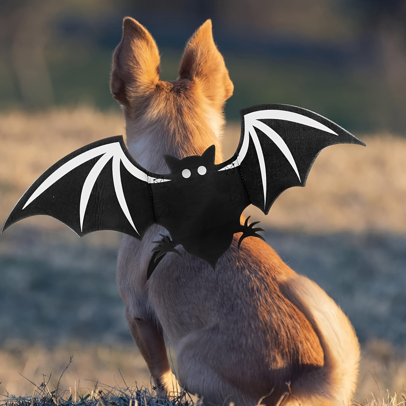 Pet Halloween Costume, Black Devil Bat, Adjustable Cat & Dog Outfit with White Wings & Eyes Print, Bat Wings, Claws, Cute Felt Fabric with Hook Closure, for Trick-or-Treat, Easter, Photo, Pet Role Play Party, Masquerade Ball