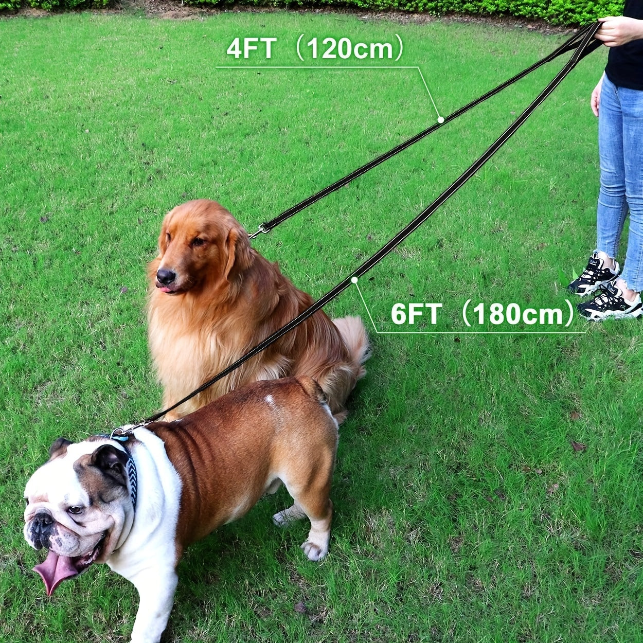 1pc Single Sided Reflective Dog Leash Soft Neoprene Padded Breathable 1 Inch Wide, Pet Leash 6FT/5FT/4FT For Medium & Large Dogs Walking And Training