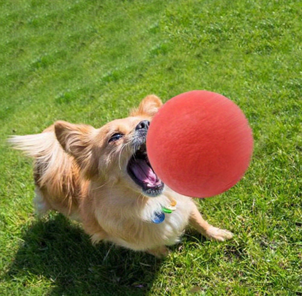 Durable Dog Chew Toy - 1pc Rubber Ball for Pet Teeth Grinding & Interactive Play