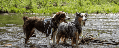 Tactical Harness For Large Dogs No Pull Adjustable Pet Harness Reflective Working Training Easy Control Pet Vest Military Service Dog Harnesses