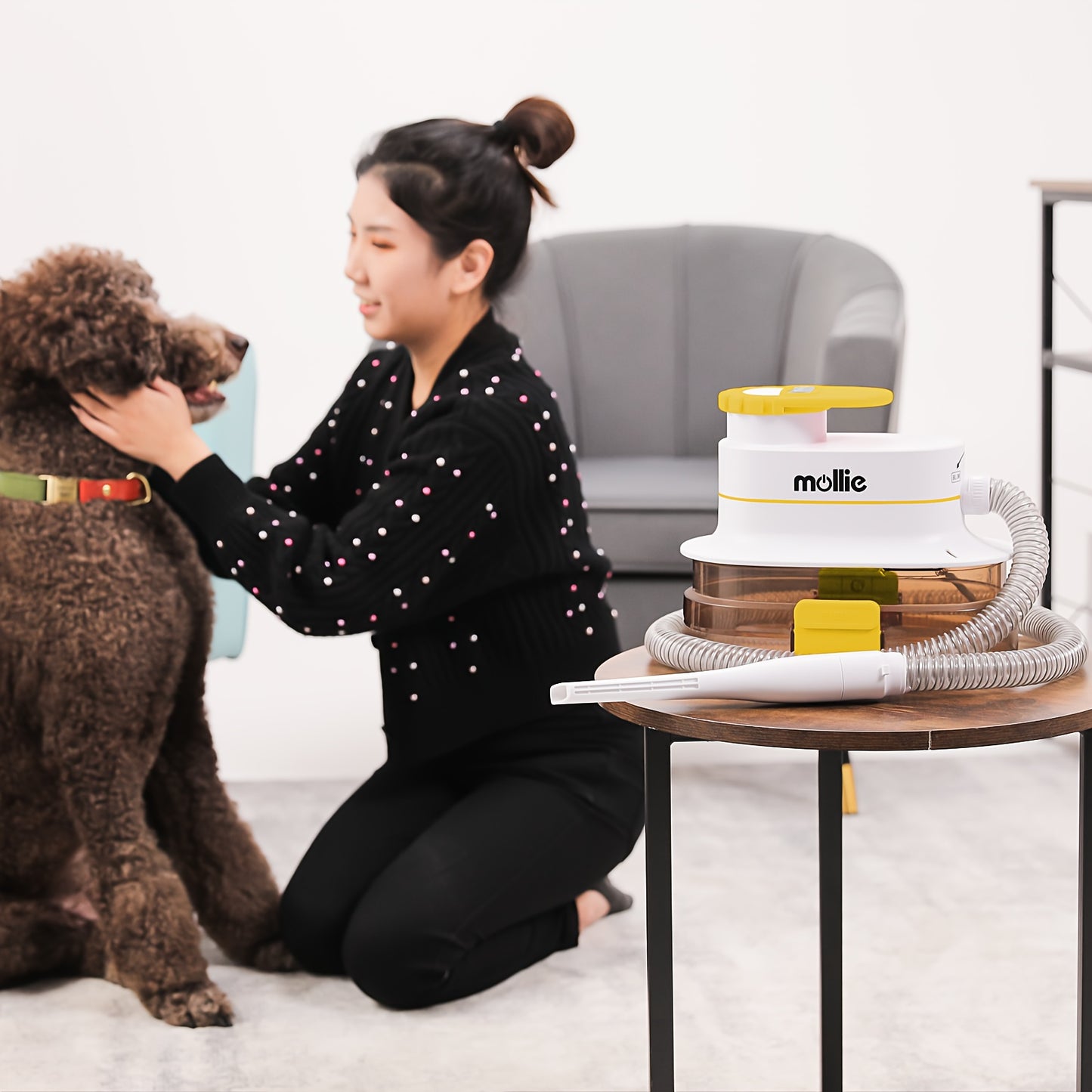 300W Pet Grooming Vacuum Blower - 3-Speed Multifunctional Grooming Machine for Dogs & Cats with 6 Nozzles, 1.06gal Capacity, And Storage Bag - All-in-One Pet Care Tool