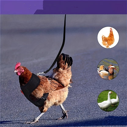 New Chicken Chest Harness Adjustable Chicken Leash Comfortable Breathable Elastic Chicken Vest for Poultry Pet Training Supplies