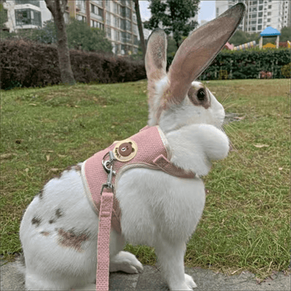 Breathable Mesh Comfort-Fit Harness with Leash - Adjustable Small Pet Vest for Rabbits, Cats & Dogs - Handwash Only, Ideal for Outdoor Walks, Rabbit Accessories