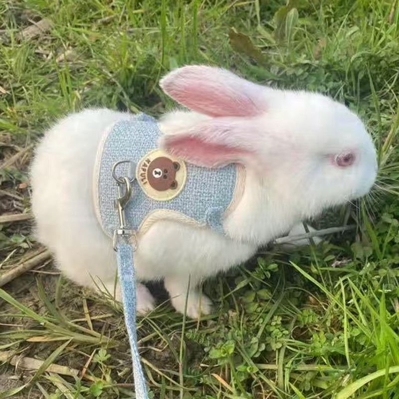 Breathable Mesh Comfort-Fit Harness with Leash - Adjustable Small Pet Vest for Rabbits, Cats & Dogs - Handwash Only, Ideal for Outdoor Walks, Rabbit Accessories