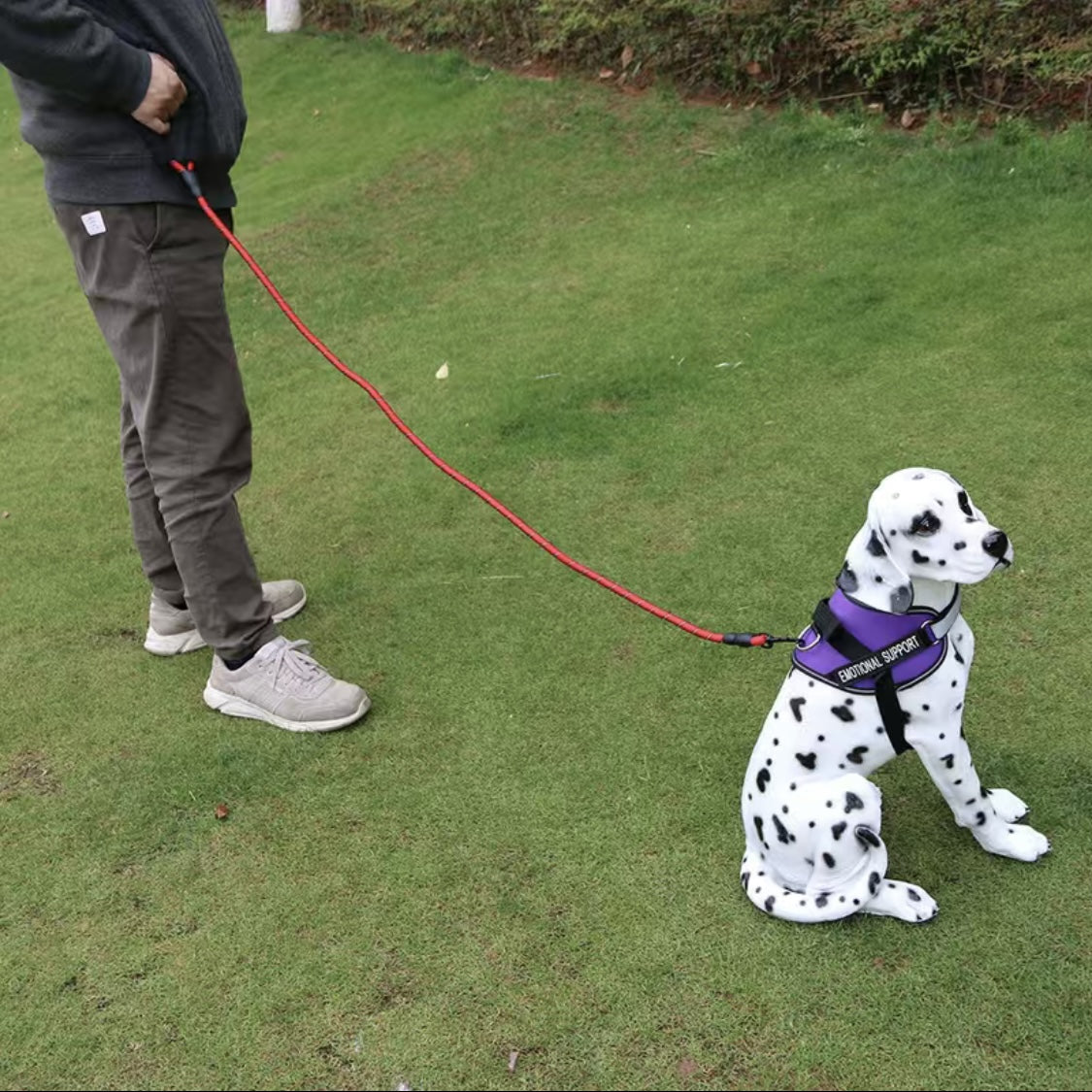 Dog Nylon Leash Lengthened And Reflective Round Rope Small And Medium Cats Dogs Leash Pet Traction Rope