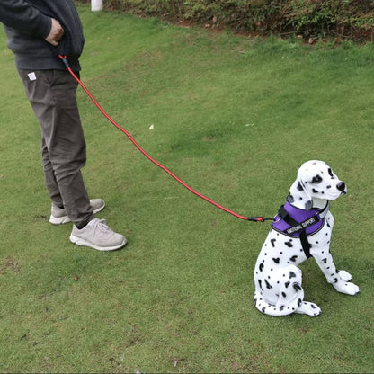 Dog Nylon Leash Lengthened And Reflective Round Rope Small And Medium Cats Dogs Leash Pet Traction Rope
