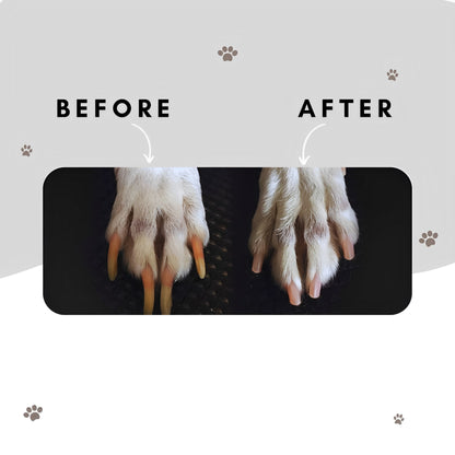 Professional Dog Nail Grinder for pet Grooming. USB Rechargeable, 2 Speed, Dog Nail Trimmers for Small Medium or Large Dogs or Cats. The Best Dog Nail Clipper Grooming kit for Dogs.