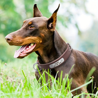 Custom Engraved Dog Collar with Personalized ID Tag - Durable Padded Pet Collar for Small, Medium & Large Dogs - Solid Pattern, Adjustable Fit, Secure Metal Hardware, Personalized Pet Accessory | Stylish Dog Collar | Durable